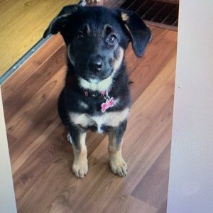 Meet your Posher, Amy